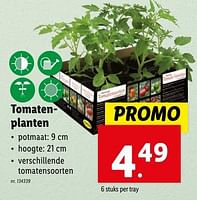Promoties Tomatenplanten - Huismerk - Lidl - Geldig van 02/05/2024 tot 07/05/2024 bij Lidl