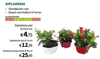 Promotions Dipladenia pot - Produit maison - Horta - Valide de 24/04/2024 à 05/05/2024 chez Horta