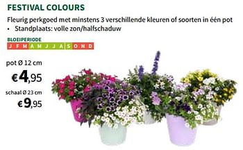Promotions Festival colours pot - Produit maison - Horta - Valide de 24/04/2024 à 05/05/2024 chez Horta