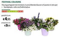 Festival colours pot-Huismerk - Horta