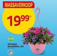 Promoties Petunia blooming joy - Huismerk - Brico - Geldig van 26/04/2024 tot 13/05/2024 bij Brico
