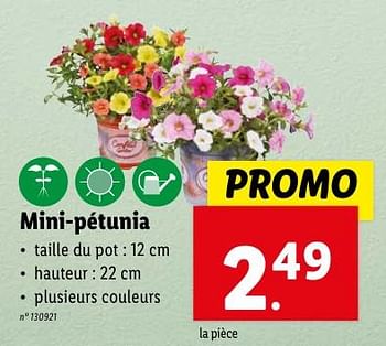 Promoties Mini-pétunia - Huismerk - Lidl - Geldig van 02/05/2024 tot 07/05/2024 bij Lidl
