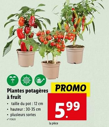 Promoties Plantes potagères à fruit - Huismerk - Lidl - Geldig van 02/05/2024 tot 07/05/2024 bij Lidl