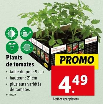Promoties Plants de tomates - Huismerk - Lidl - Geldig van 02/05/2024 tot 07/05/2024 bij Lidl