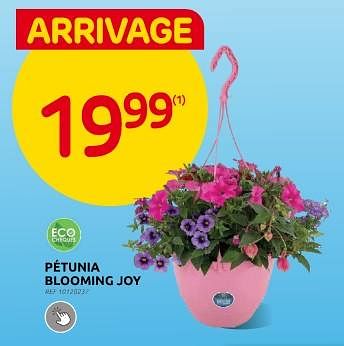 Promoties Petunia blooming joy - Huismerk - Brico - Geldig van 26/04/2024 tot 13/05/2024 bij Brico