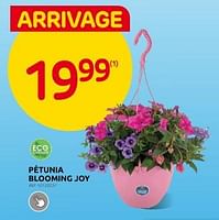 Promotions Petunia blooming joy - Produit maison - Brico - Valide de 26/04/2024 à 13/05/2024 chez Brico