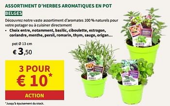 Promoties Assortiment d’herbes aromatiques en pot - Huismerk - Horta - Geldig van 24/04/2024 tot 05/05/2024 bij Horta