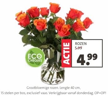Promoties Grootbloemige rozen. - Huismerk - Intratuin - Geldig van 29/04/2024 tot 12/05/2024 bij Intratuin