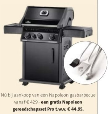 Promotions Nu bij aankoop van een napoleon gasbarbecue - Napoleon - Valide de 29/04/2024 à 12/05/2024 chez Intratuin
