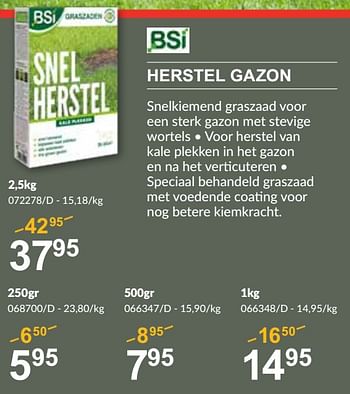 Promotions Herstel gazon - BSI - Valide de 25/04/2024 à 19/05/2024 chez HandyHome