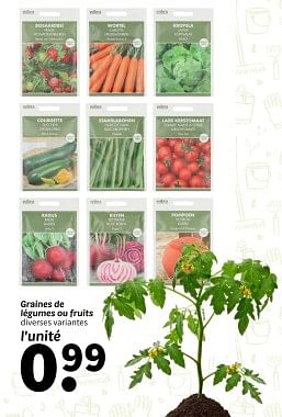 Promoties Graines de légumes ou fruits - Huismerk - Wibra - Geldig van 25/04/2024 tot 09/05/2024 bij Wibra