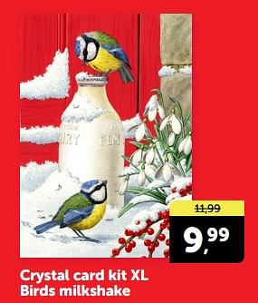 Promotions Crystal card kit xl birds milkshake - Produit Maison - Boekenvoordeel - Valide de 27/04/2024 à 05/05/2024 chez BoekenVoordeel