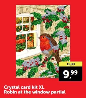 Promoties Crystal card kit xl robin at the window partial - Huismerk - Boekenvoordeel - Geldig van 27/04/2024 tot 05/05/2024 bij BoekenVoordeel