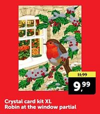 Crystal card kit xl robin at the window partial-Huismerk - Boekenvoordeel