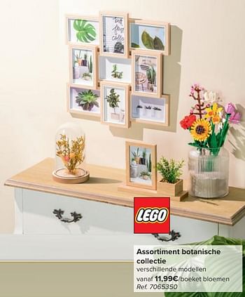 Promotions Assortiment botanische collectie - Lego - Valide de 30/04/2024 à 13/05/2024 chez Carrefour