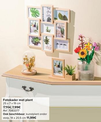 Promoties Fotokader met plant - Huismerk - Carrefour  - Geldig van 30/04/2024 tot 13/05/2024 bij Carrefour