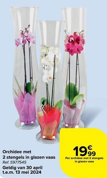 Promoties Orchidee met 2 stengels in glazen vaas - Huismerk - Carrefour  - Geldig van 30/04/2024 tot 13/05/2024 bij Carrefour