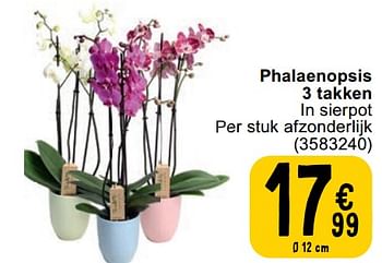 Promoties Phalaenopsis 3 takken - Huismerk - Cora - Geldig van 30/04/2024 tot 13/05/2024 bij Cora