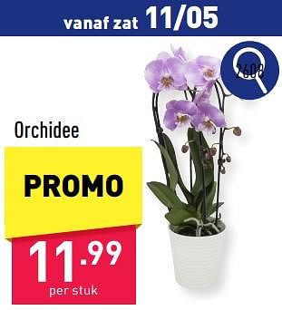 Promoties Orchidee - Huismerk - Aldi - Geldig van 06/05/2024 tot 12/05/2024 bij Aldi