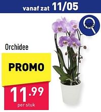 Orchidee-Huismerk - Aldi