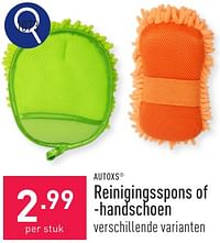 Reinigingsspons of -handschoen-AutoXS