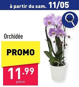 Promoties Orchidée - Huismerk - Aldi - Geldig van 06/05/2024 tot 12/05/2024 bij Aldi