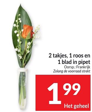 Promoties 2 takjes 1 roos en 1 blad in pipet - Huismerk - Intermarche - Geldig van 30/04/2024 tot 05/05/2024 bij Intermarche