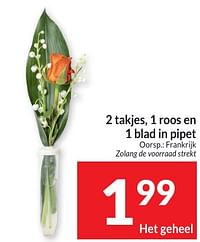 2 takjes 1 roos en 1 blad in pipet-Huismerk - Intermarche