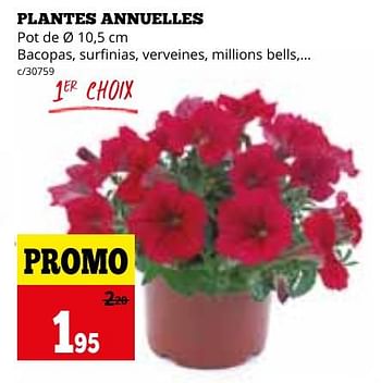 Promotions Plantes annuelles - Produit maison - Dema - Valide de 29/04/2024 à 02/06/2024 chez Dema
