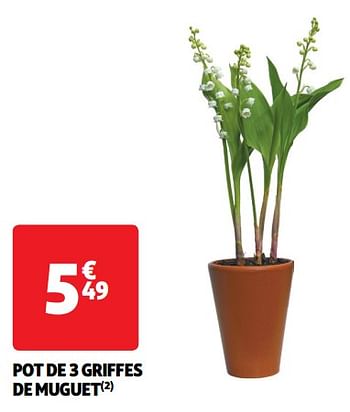 Promoties Pot de 3 griffes de muguet - Huismerk - Auchan - Geldig van 30/04/2024 tot 05/05/2024 bij Auchan