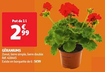 Promoties Géraniums - Huismerk - Auchan - Geldig van 30/04/2024 tot 06/05/2024 bij Auchan