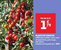 Plants de tomates-Huismerk - Auchan