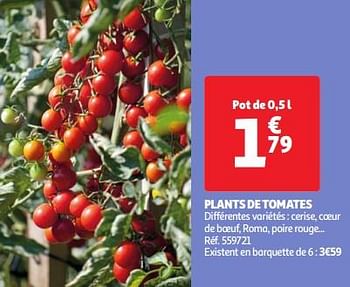 Promotions Plants de tomates - Produit Maison - Auchan Ronq - Valide de 30/04/2024 à 06/05/2024 chez Auchan Ronq
