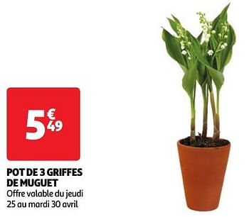 Promotions Pot de 3 griffes de muguet - Produit Maison - Auchan Ronq - Valide de 30/04/2024 à 06/05/2024 chez Auchan Ronq