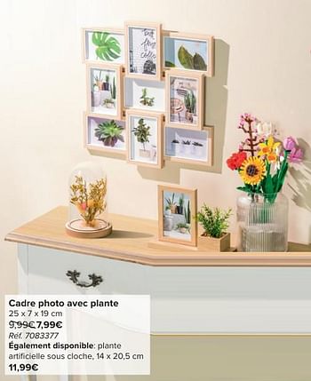 Promotions Cadre photo avec plante - Produit maison - Carrefour  - Valide de 30/04/2024 à 13/05/2024 chez Carrefour