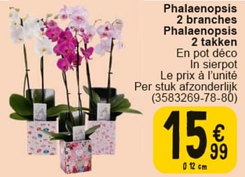 Promotions Phalaenopsis 2 branches - Produit maison - Cora - Valide de 30/04/2024 à 13/05/2024 chez Cora