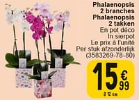 Promotions Phalaenopsis 2 branches - Produit maison - Cora - Valide de 30/04/2024 à 13/05/2024 chez Cora