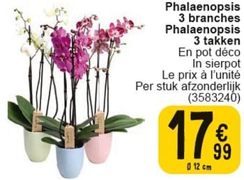 Promoties Phalaenopsis 3 branches - Huismerk - Cora - Geldig van 30/04/2024 tot 13/05/2024 bij Cora