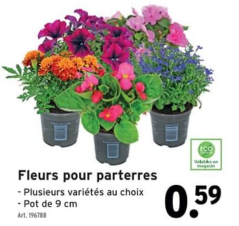 Promotions Fleurs pour parterres - Produit maison - Gamma - Valide de 01/05/2024 à 07/05/2024 chez Gamma