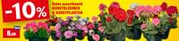 Ruim assortiment kunstbloemen + kunstplanten-Huismerk - Hubo 