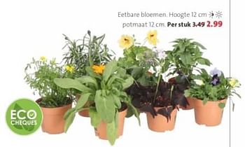Promotions Eetbare bloemen - Produit maison - Intratuin - Valide de 06/05/2024 à 19/05/2024 chez Intratuin