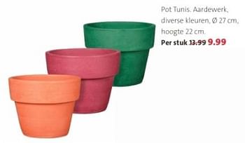 Promoties Pot tunis aardewerk - Huismerk - Intratuin - Geldig van 06/05/2024 tot 19/05/2024 bij Intratuin