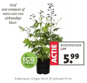 Promoties Ridderspoor - Huismerk - Intratuin - Geldig van 06/05/2024 tot 19/05/2024 bij Intratuin