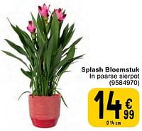 Promoties Splash bloemstuk - Huismerk - Cora - Geldig van 07/05/2024 tot 18/05/2024 bij Cora
