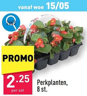Promotions Perkplanten - Produit maison - Aldi - Valide de 13/05/2024 à 19/05/2024 chez Aldi