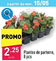 Promotions Plantes de parterre - Produit maison - Aldi - Valide de 13/05/2024 à 19/05/2024 chez Aldi