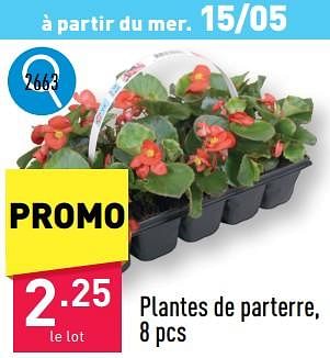 Promoties Plantes de parterre - Huismerk - Aldi - Geldig van 13/05/2024 tot 19/05/2024 bij Aldi