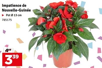 Promoties Impatience de nouvelle-guinée - Huismerk - Mr. Bricolage - Geldig van 07/05/2024 tot 16/05/2024 bij Mr. Bricolage