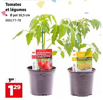 Promotions Tomates et légumes - Produit maison - Mr. Bricolage - Valide de 07/05/2024 à 16/05/2024 chez Mr. Bricolage
