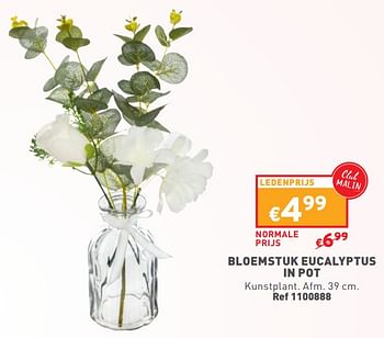 Promotions Bloemstuk eucalyptus in pot - Produit maison - Trafic  - Valide de 08/05/2024 à 11/05/2024 chez Trafic